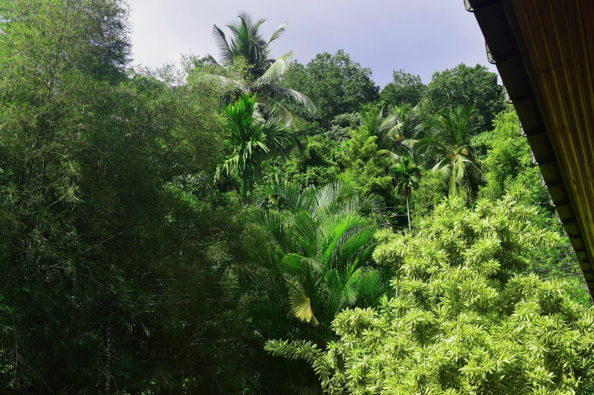 ホテル Avaana By Springhills キャンディー エクステリア 写真